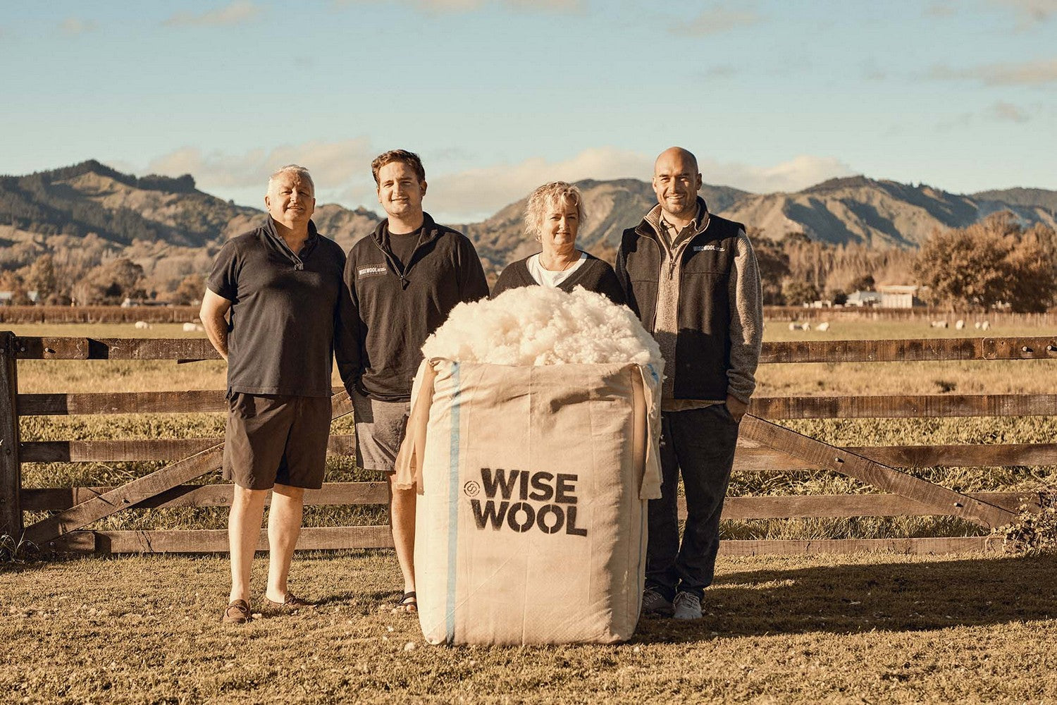 Wisewool Pillows